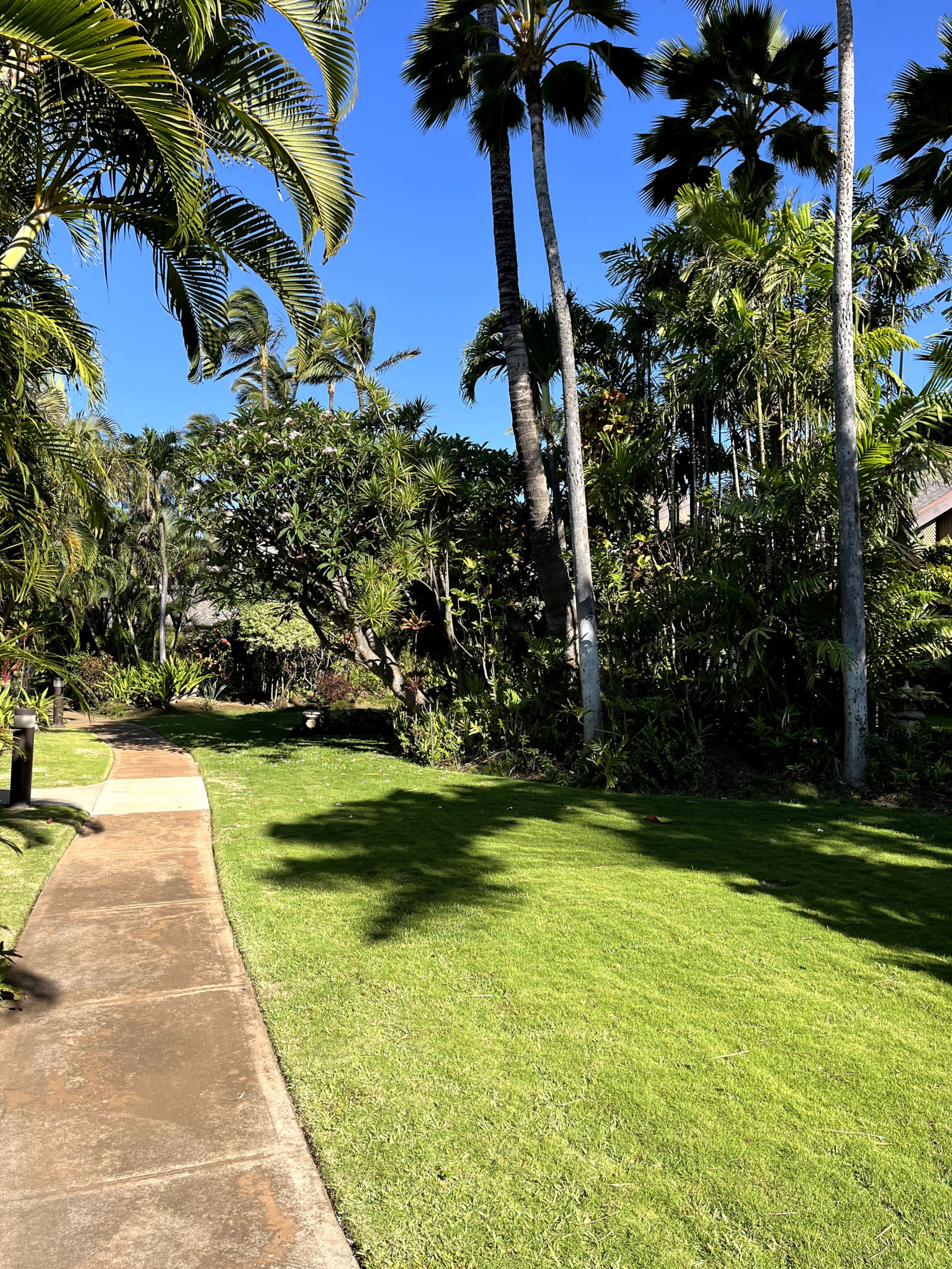 Condo in Kihei · ★4.97 · 1 bedroom · 2 beds · 1 shared bath - Image 50