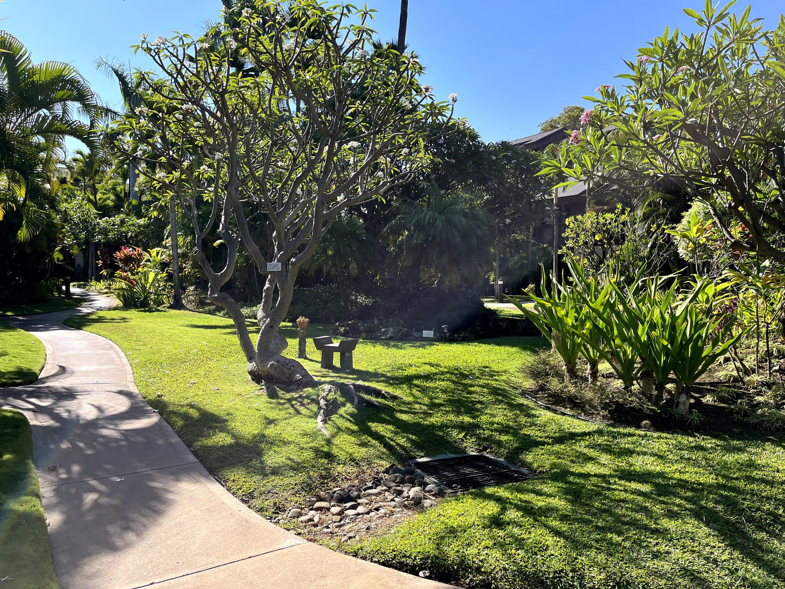 Condo in Kihei · ★4.97 · 1 bedroom · 2 beds · 1 shared bath - Image 43