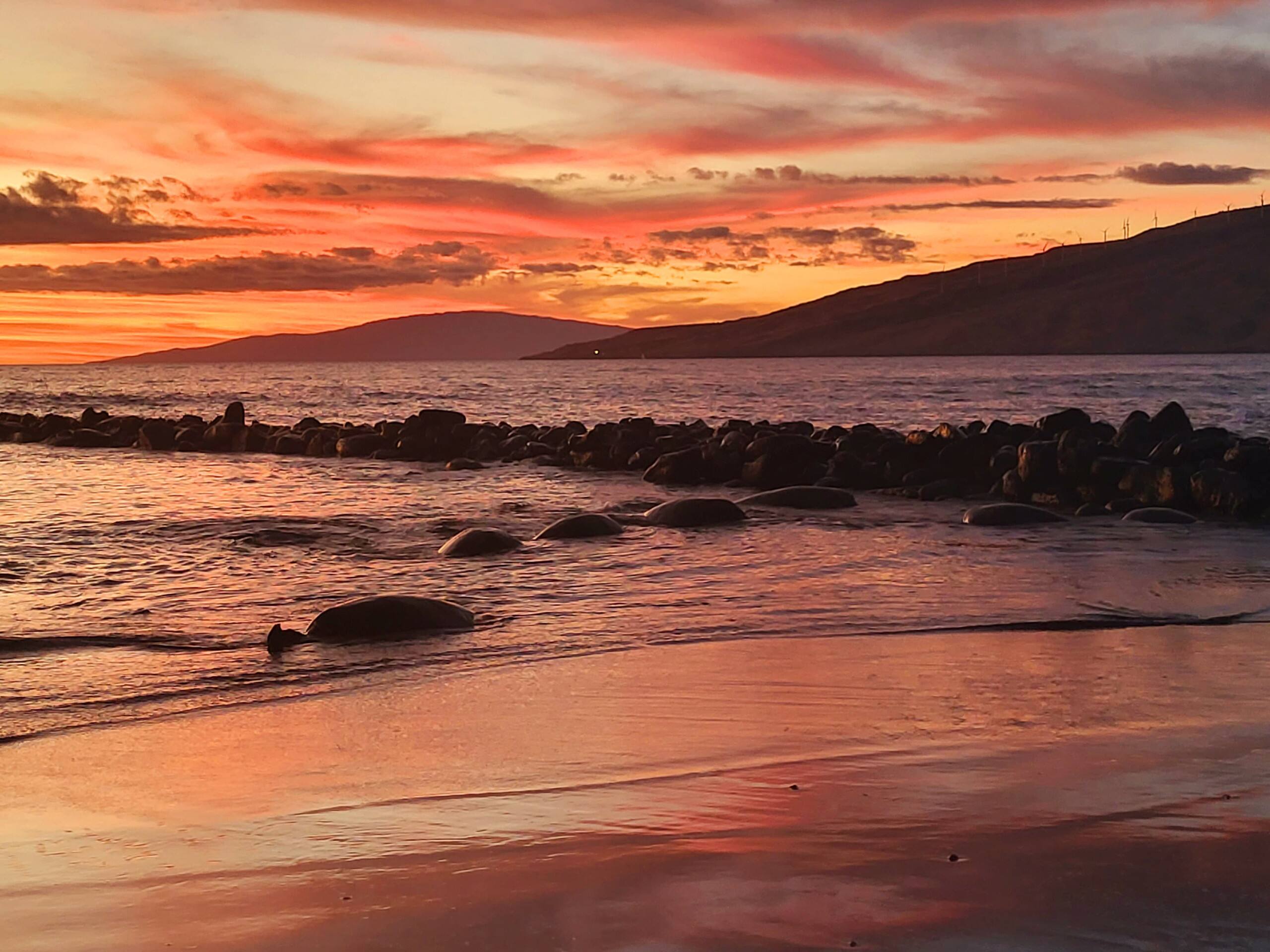 Condo in Kihei · ★4.97 · 1 bedroom · 2 beds · 1 shared bath - Image 91