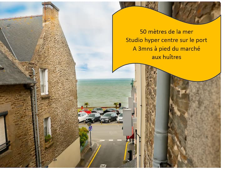 Studio 50 M De La Mer Proche Commerces/restaurants - Cancale