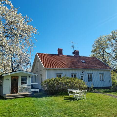 Oknölund