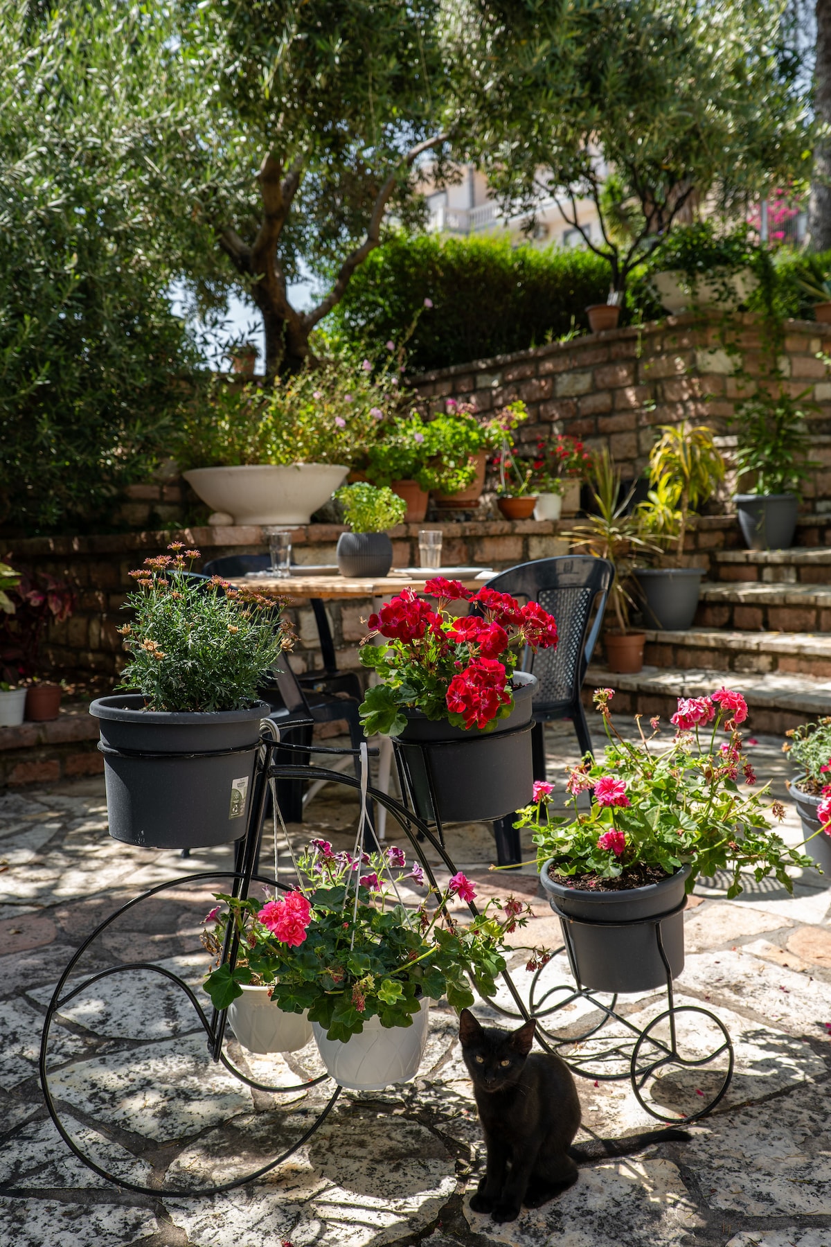 A charming outdoor space features a bicycle planter adorned with vibrant flowers, including geraniums, surrounded by additional potted plants. A small black cat sits nearby, while a wooden table and chairs are positioned on a stone pathway, leading to lush greenery in the background.