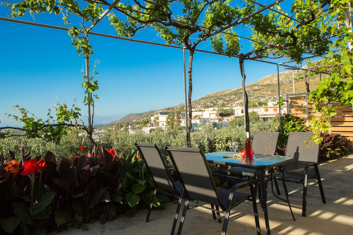 An outdoor seating area is framed by a trellis covered in vines, providing shade. A glass table is surrounded by four chairs, and vibrant flowers add color to the setting. The view in the background features olive trees and distant hills under a clear blue sky.