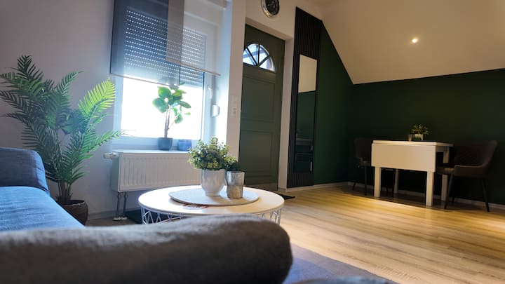Appartement, Schöne Single Wohnung, Große Terresse - Bad Nenndorf
