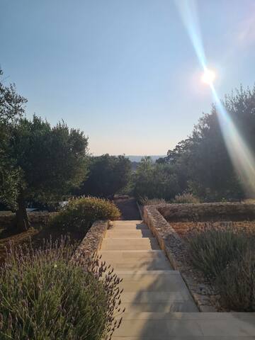 Alberovivo – Design e tradizione in Valle d’Itria gallery image 4