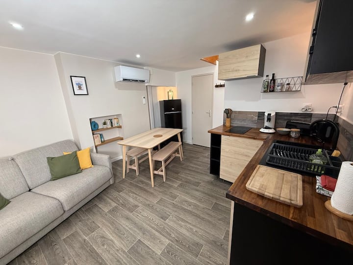 L'endormi 3 - F1 Duplex - 4 Voyageurs - Climatisé - Clermont-Ferrand