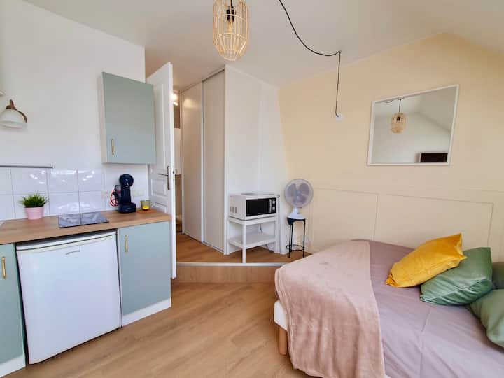 Belle ÉToile: Logement Climatisé En Hyper Centre - Grenoble
