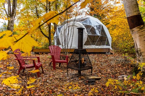 Forest Dome – The Glamping Experience