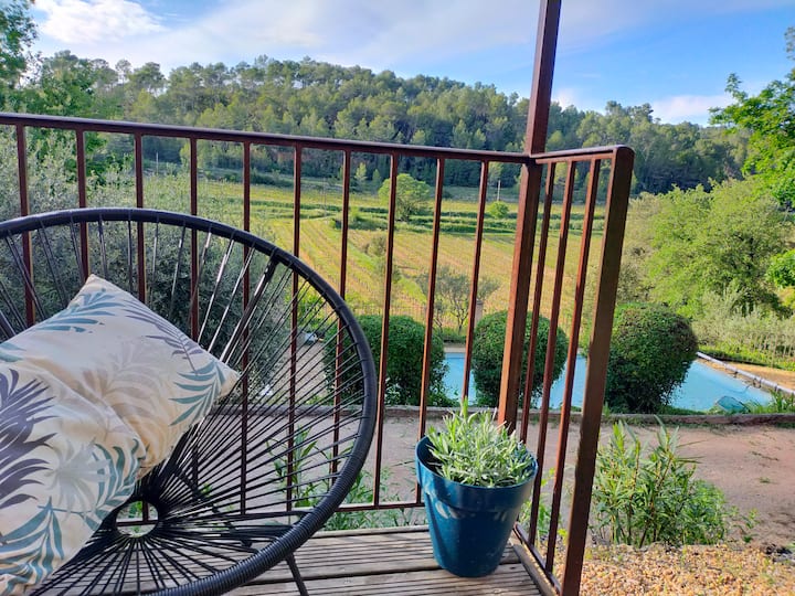 Le Figuier Gîte Privé De Charme Piscine 30' Verdon - Carcès