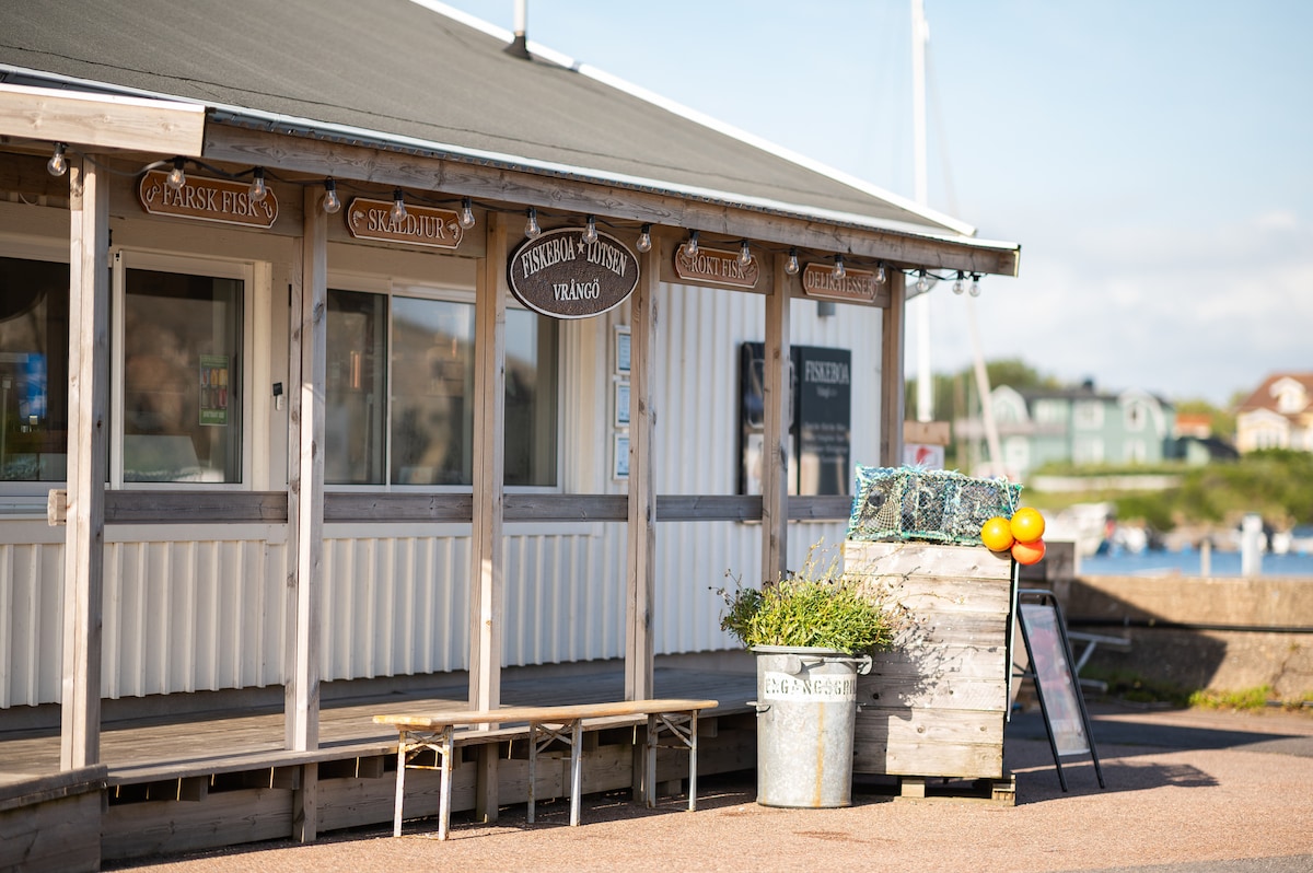 A charming coastal café is depicted with a wooden exterior featuring various signage. Benches are placed outside, and a potted plant adds a touch of greenery. In the background, the water and distant buildings create a serene atmosphere, suggesting a welcoming environment for visitors.