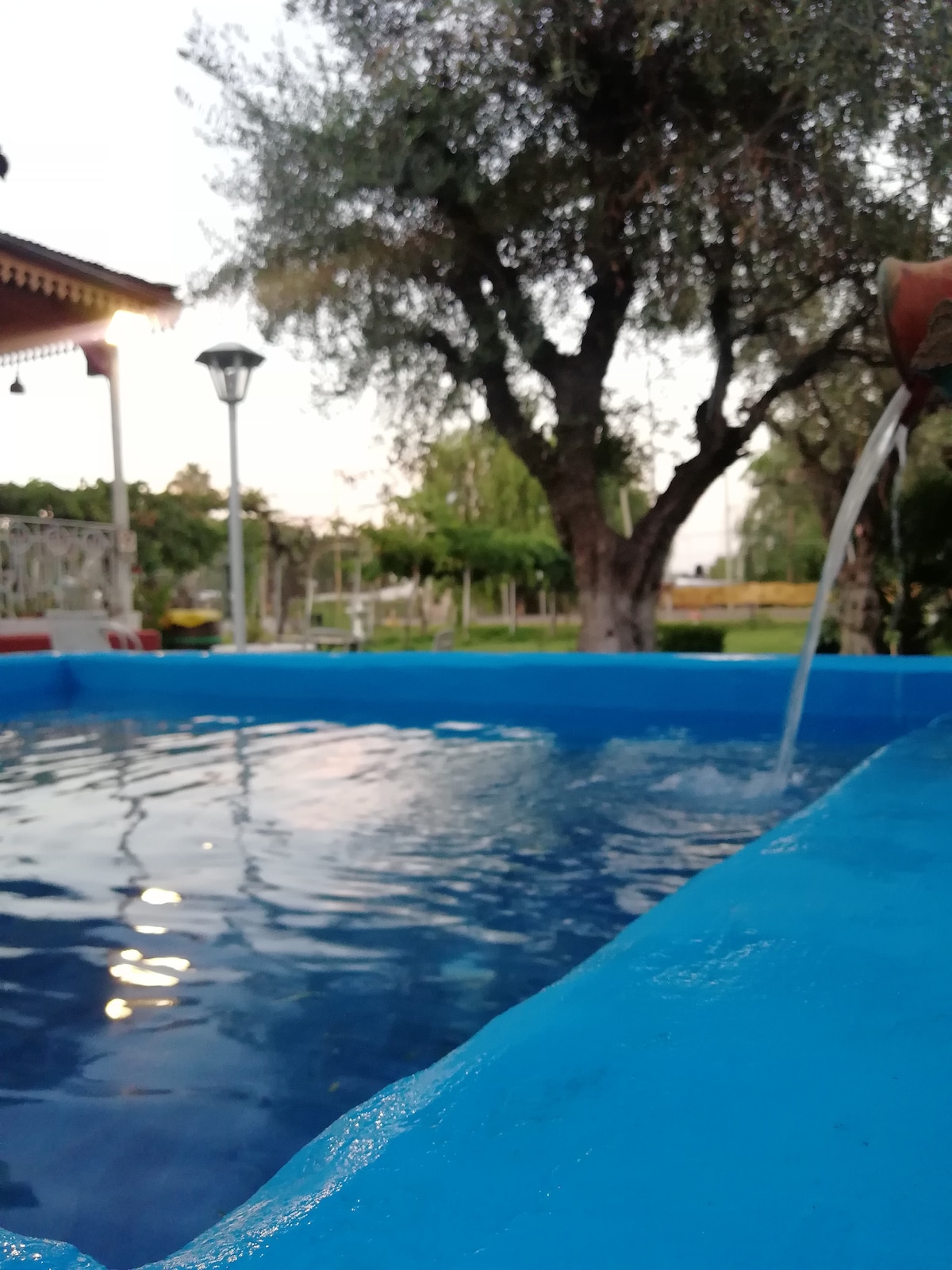 A tranquil pool is shown, reflecting the soft glow of nearby lighting. Olive trees provide shade in the background, while a play area is visible beyond the water. The peaceful setting invites relaxation under the open sky.