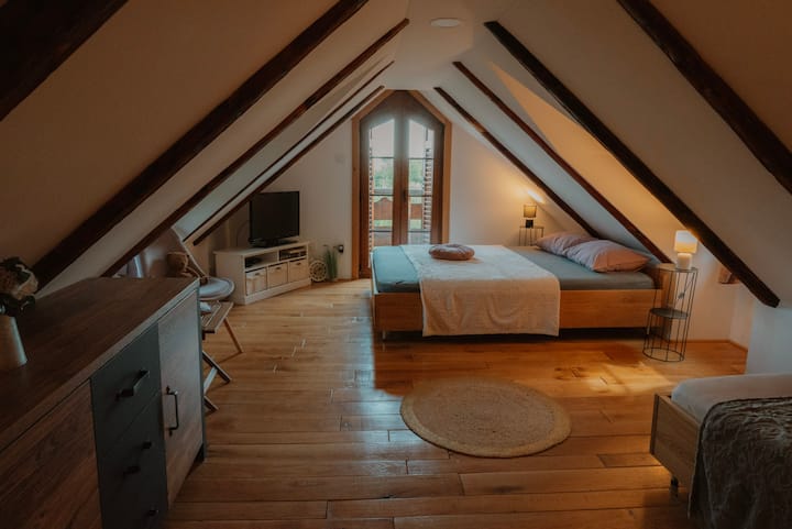 Habitación 1