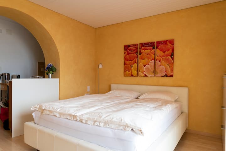 Bijoux In Ascona Mit Traumhafter Aussicht! - Ascona
