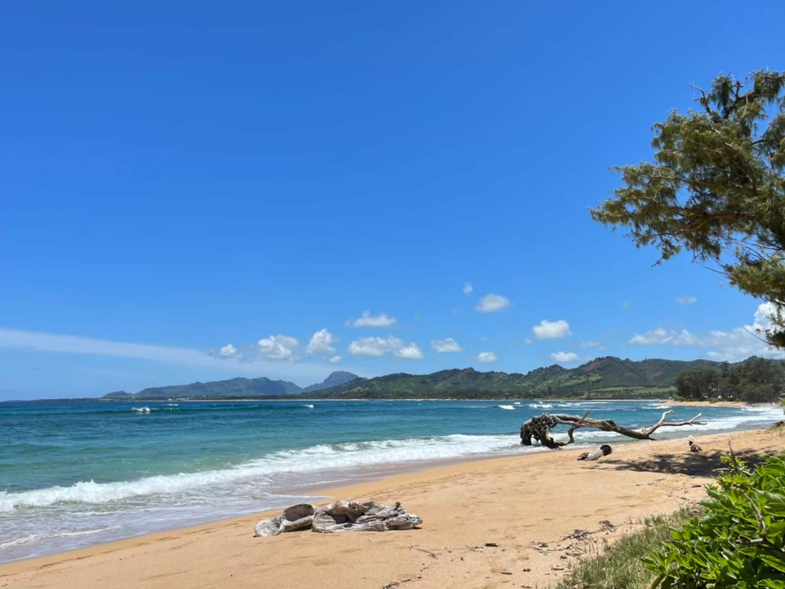Condo in Honolulu · ★4.8 · Studio · 1 bed · 1 private bath - Image 18