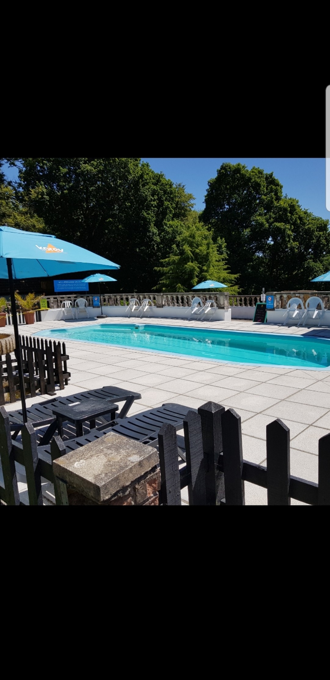 A clean, inviting pool area is surrounded by a landscaped patio. Comfortable lounge chairs with matching umbrellas provide shade. A low fence adds privacy while lush trees frame the backdrop, enhancing the serene atmosphere for relaxation.