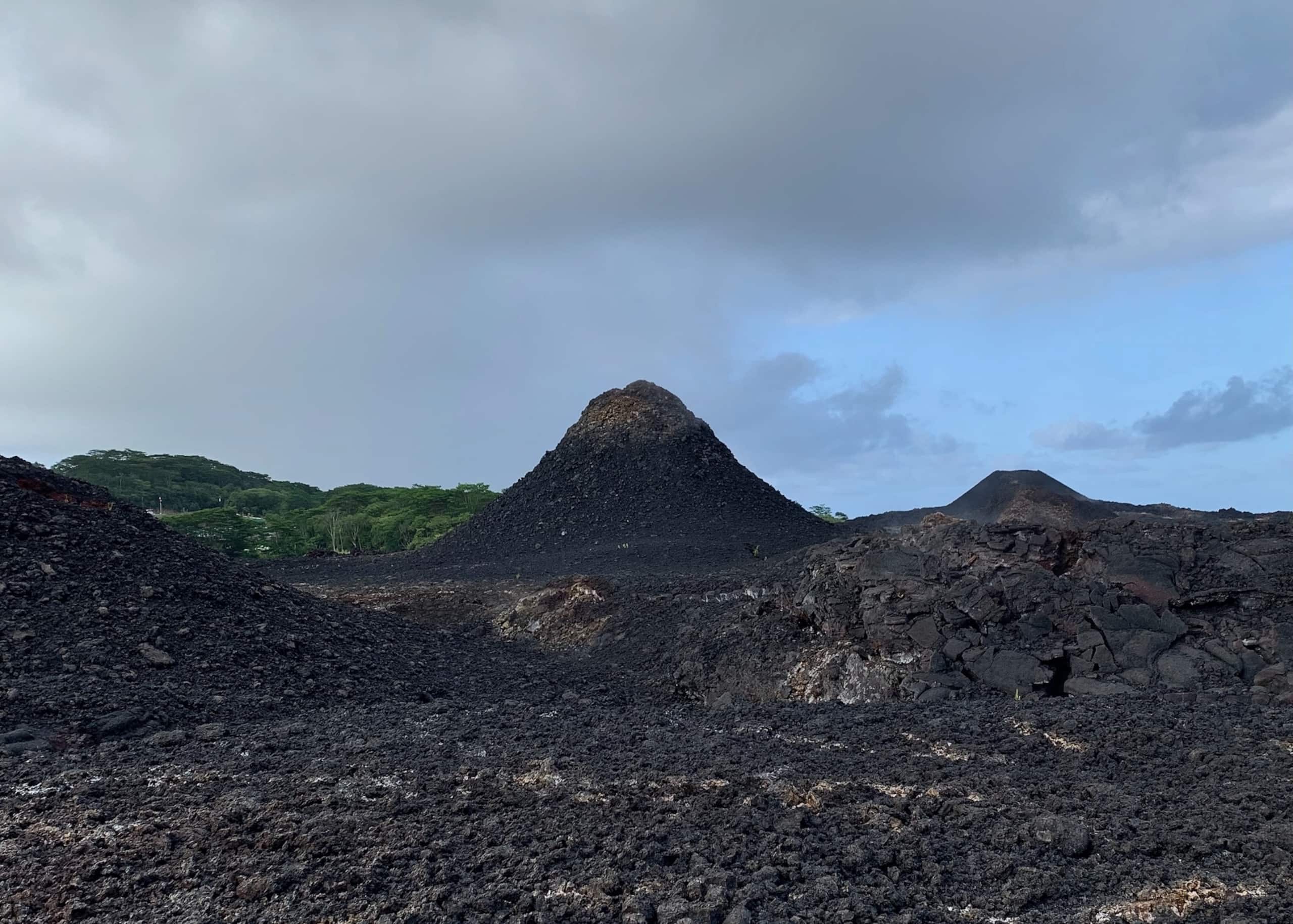 Pohoiki Kipuka Ocean Views from the Lava's Edge - Photo 29