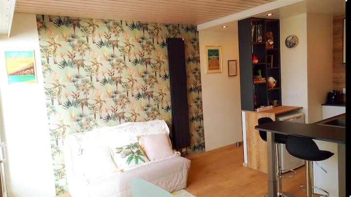 Appartement Vue Sur Mer Plage Des Demoiselles - Saint-Jean-de-Monts