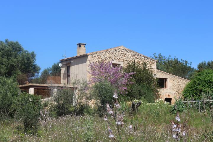 Entire home with 1 bedrooms in Santa Margalida - Charming ecological rural house