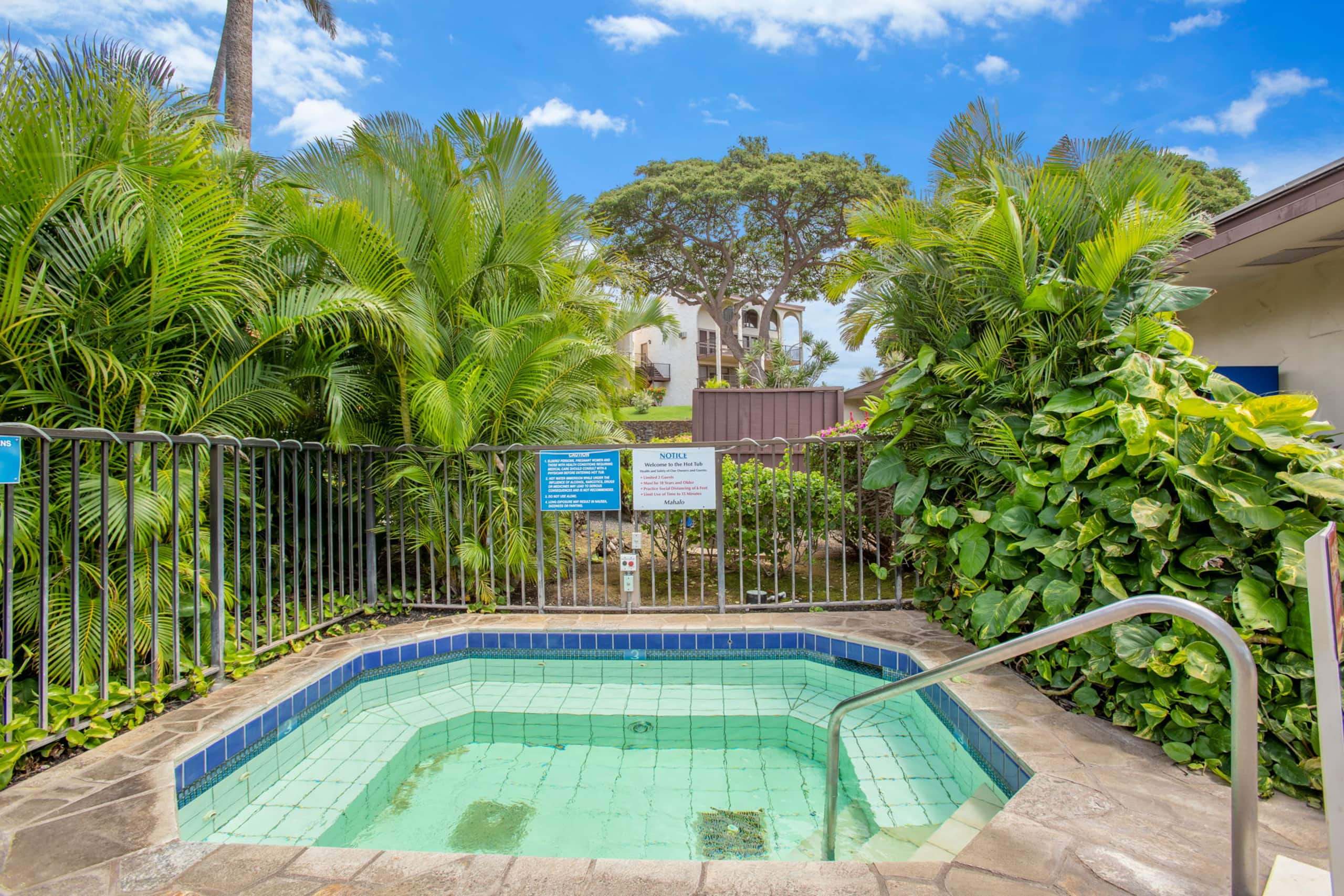 Condo in Kihei · ★4.89 · 2 bedrooms · 3 beds · 2 private baths - Image 49