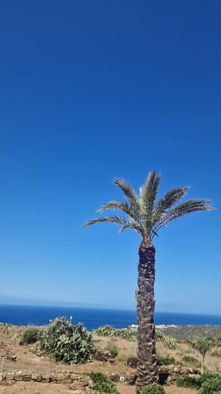 Dammuso "La Palma" - Pantelleria