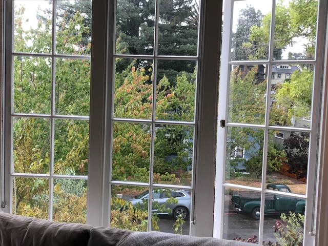 Sunny & Fabulous 4 BR, 2.5 Bath Piedmont Home gallery image 5