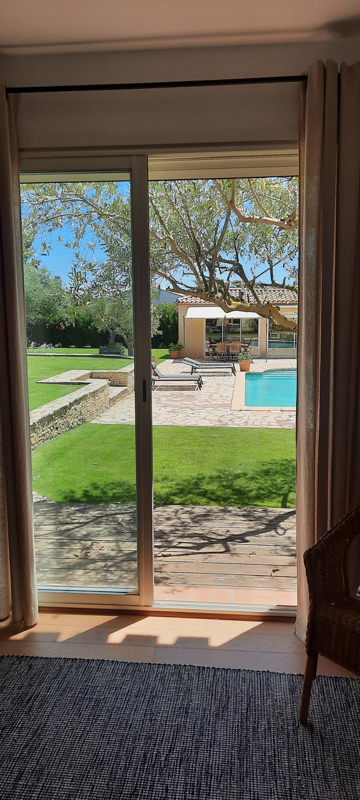 The view from the room features large glass doors opening to a bright outdoor space. A well-maintained lawn surrounds a pool, with lounge chairs positioned nearby. An olive tree casts shade on the patio, providing a serene atmosphere for relaxation.