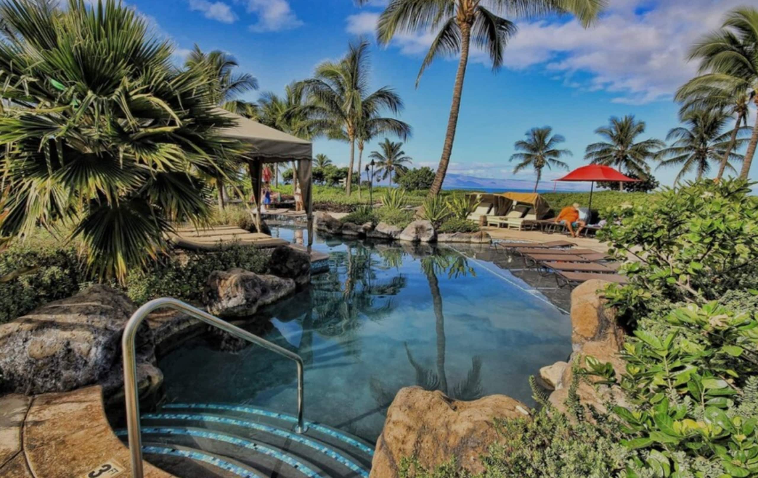 Condo in Lahaina · ★4.96 · 2 bedrooms · 3 beds · 2 baths - Image 39