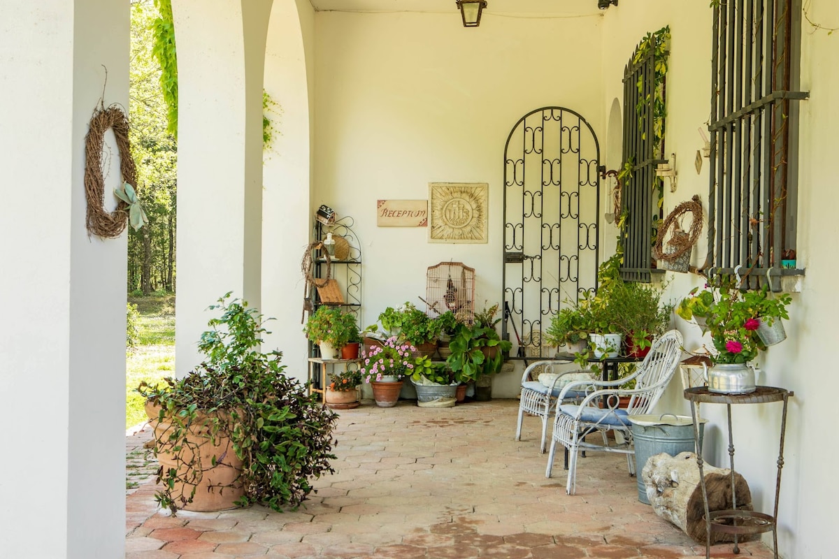 A welcoming entryway is presented, featuring a rustic charm with terracotta flooring. Potted plants and flowers in various containers are displayed alongside white seating, adding a touch of greenery. Decorative elements enhance the space, creating a tranquil atmosphere under shaded arches.