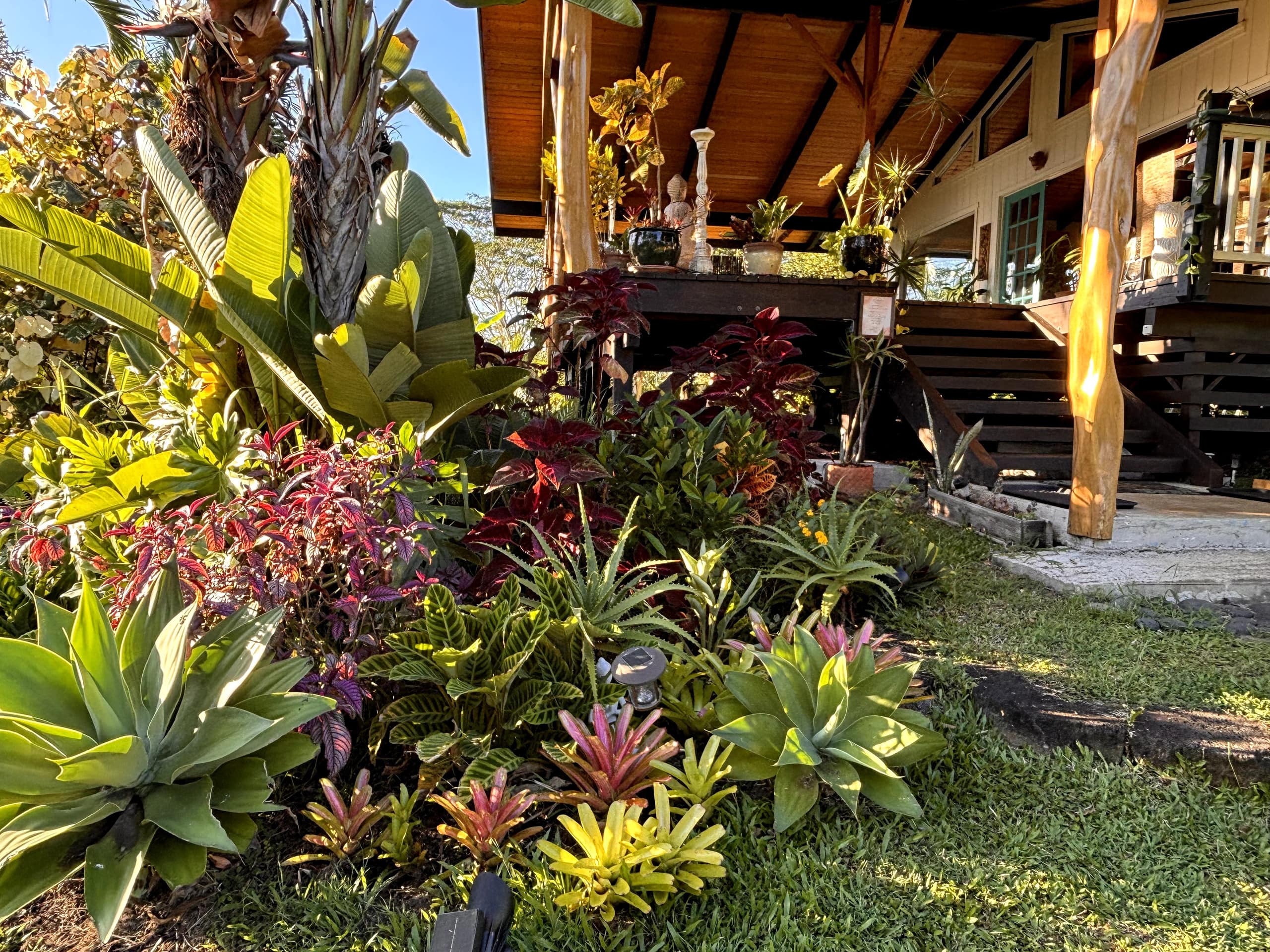 Home in Keaau · ★4.93 · 1 bedroom · 1 bed · 1 private bath - Image 24