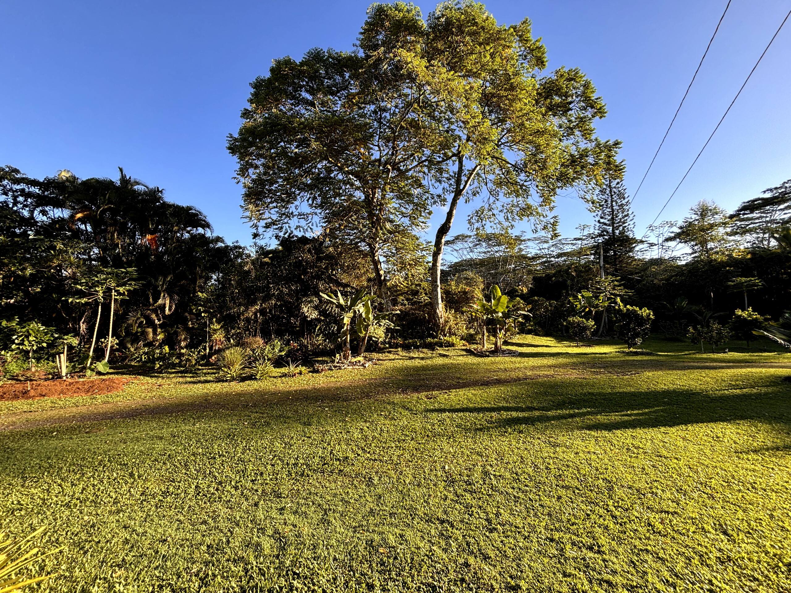 Home in Keaau · ★4.93 · 1 bedroom · 1 bed · 1 private bath - Image 23
