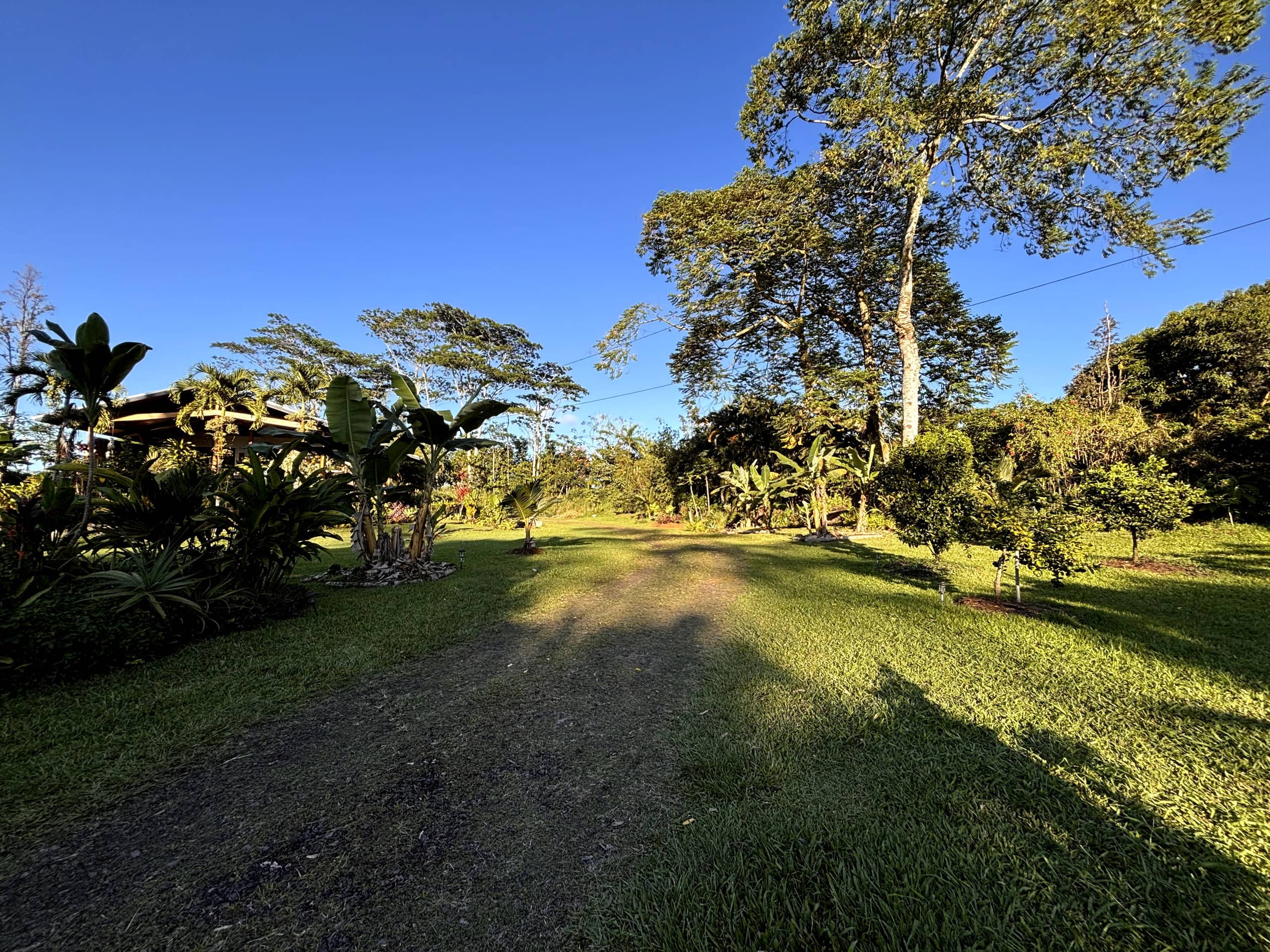 Home in Keaau · ★4.93 · 1 bedroom · 1 bed · 1 private bath - Image 11
