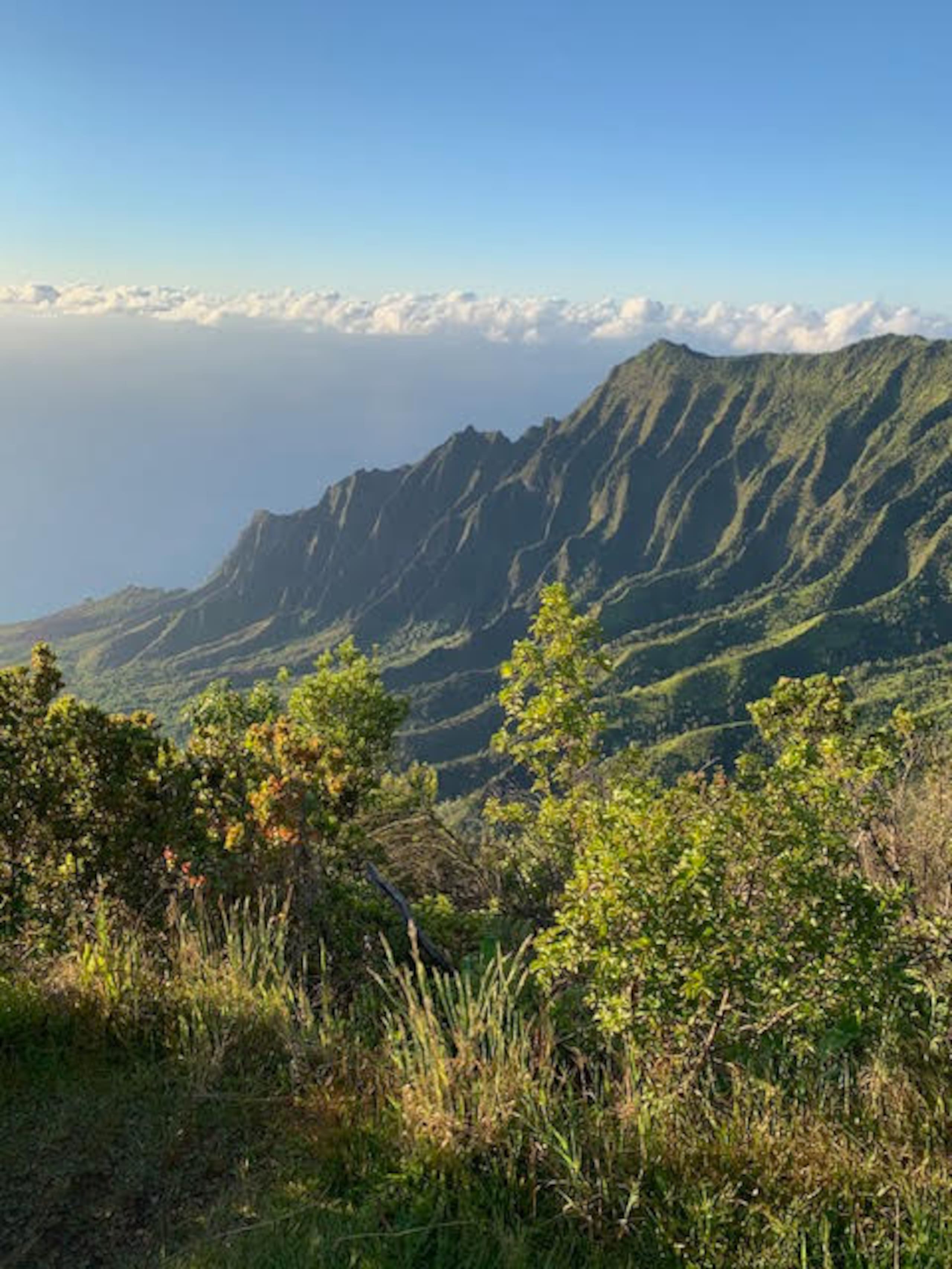 Condo in Princeville · ★4.67 · Studio · 2 beds · 1 private bath - Image 48
