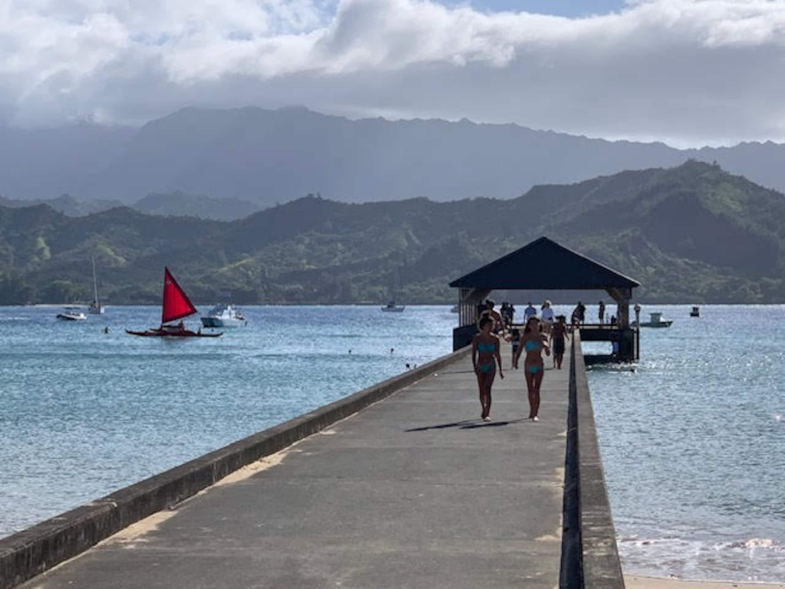 Condo in Princeville · ★4.67 · Studio · 2 beds · 1 private bath - Image 38