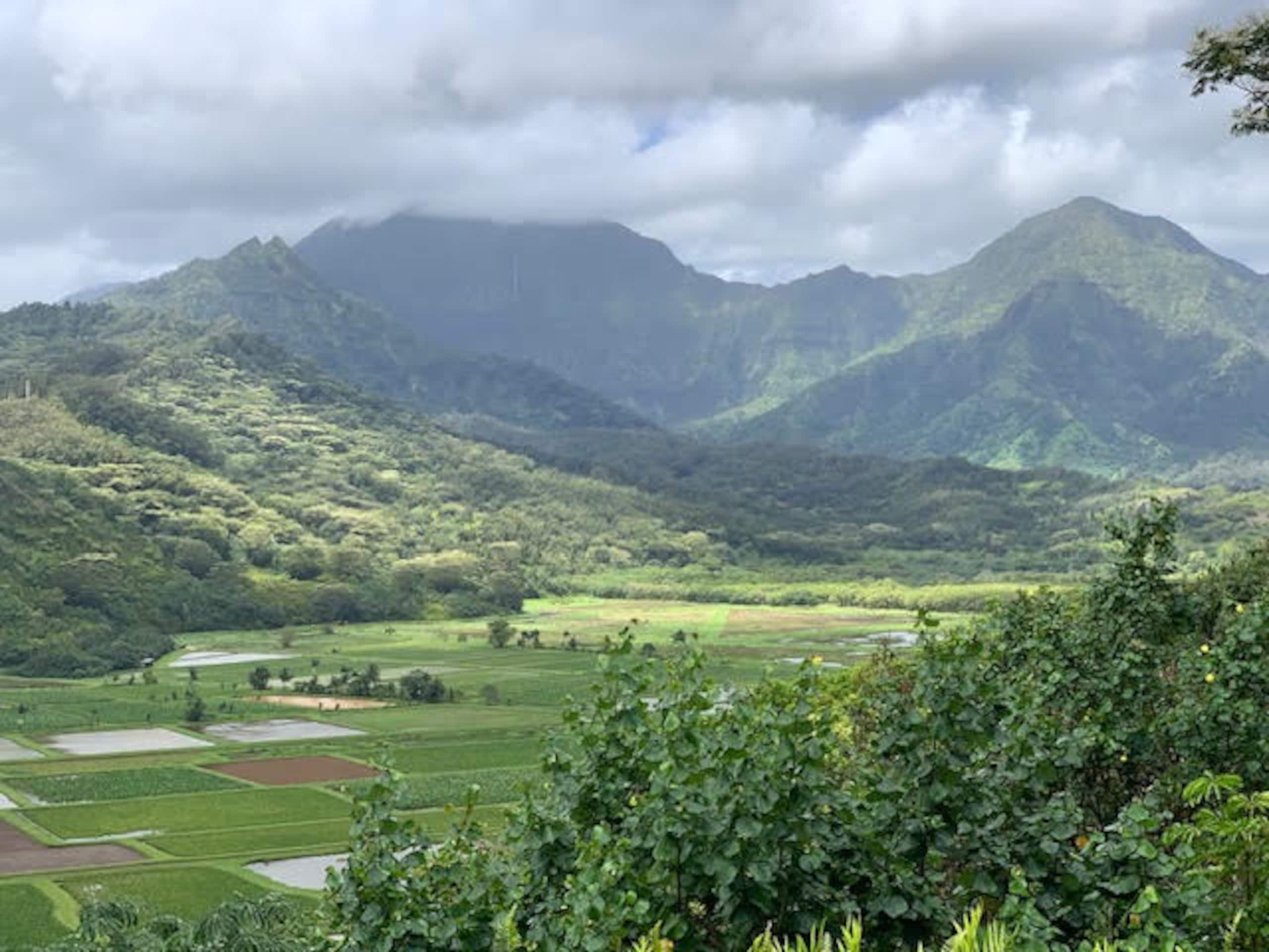 Condo in Princeville · ★4.67 · Studio · 2 beds · 1 private bath - Image 33