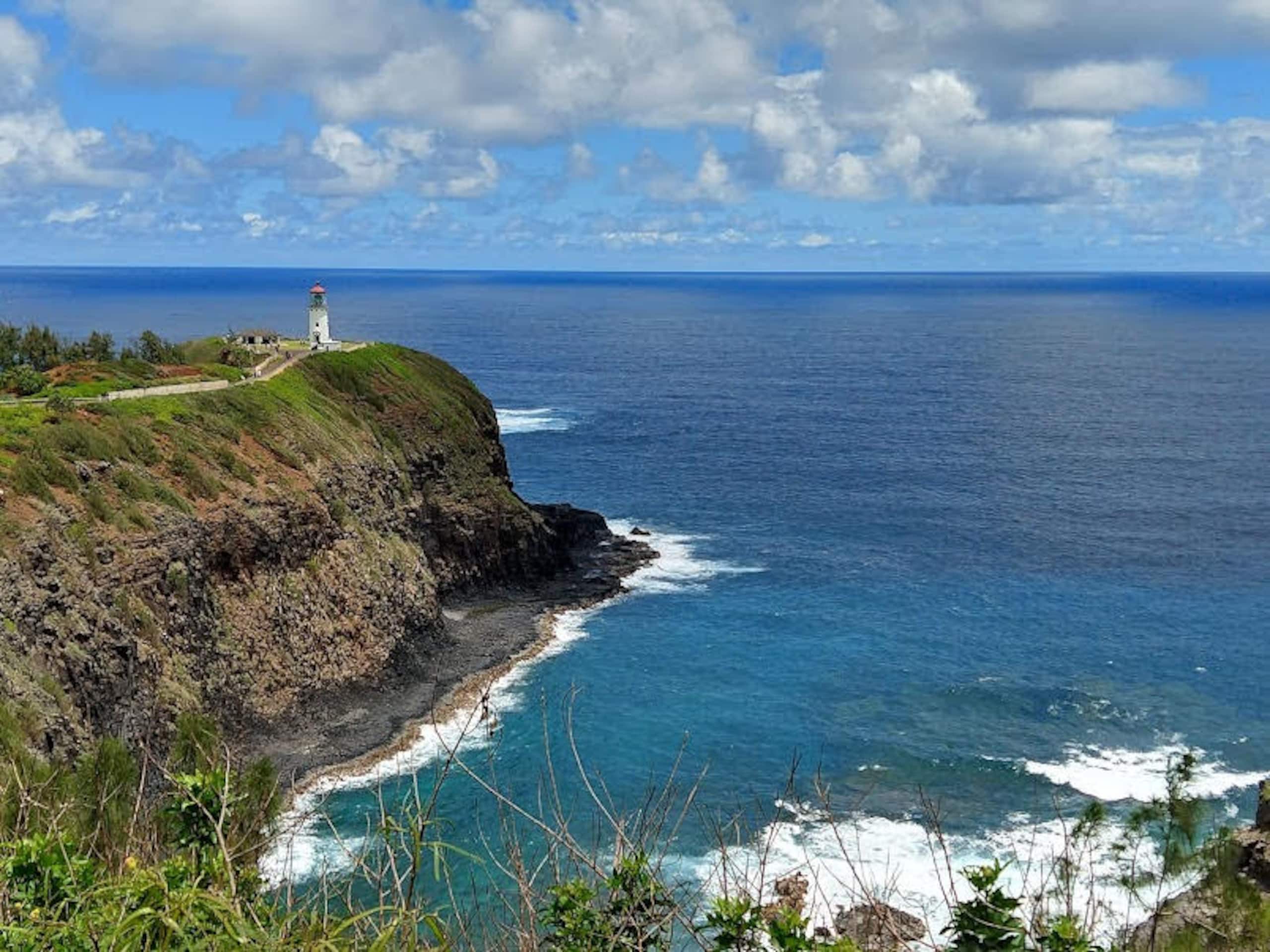 Condo in Princeville · ★4.67 · Studio · 2 beds · 1 private bath - Image 57