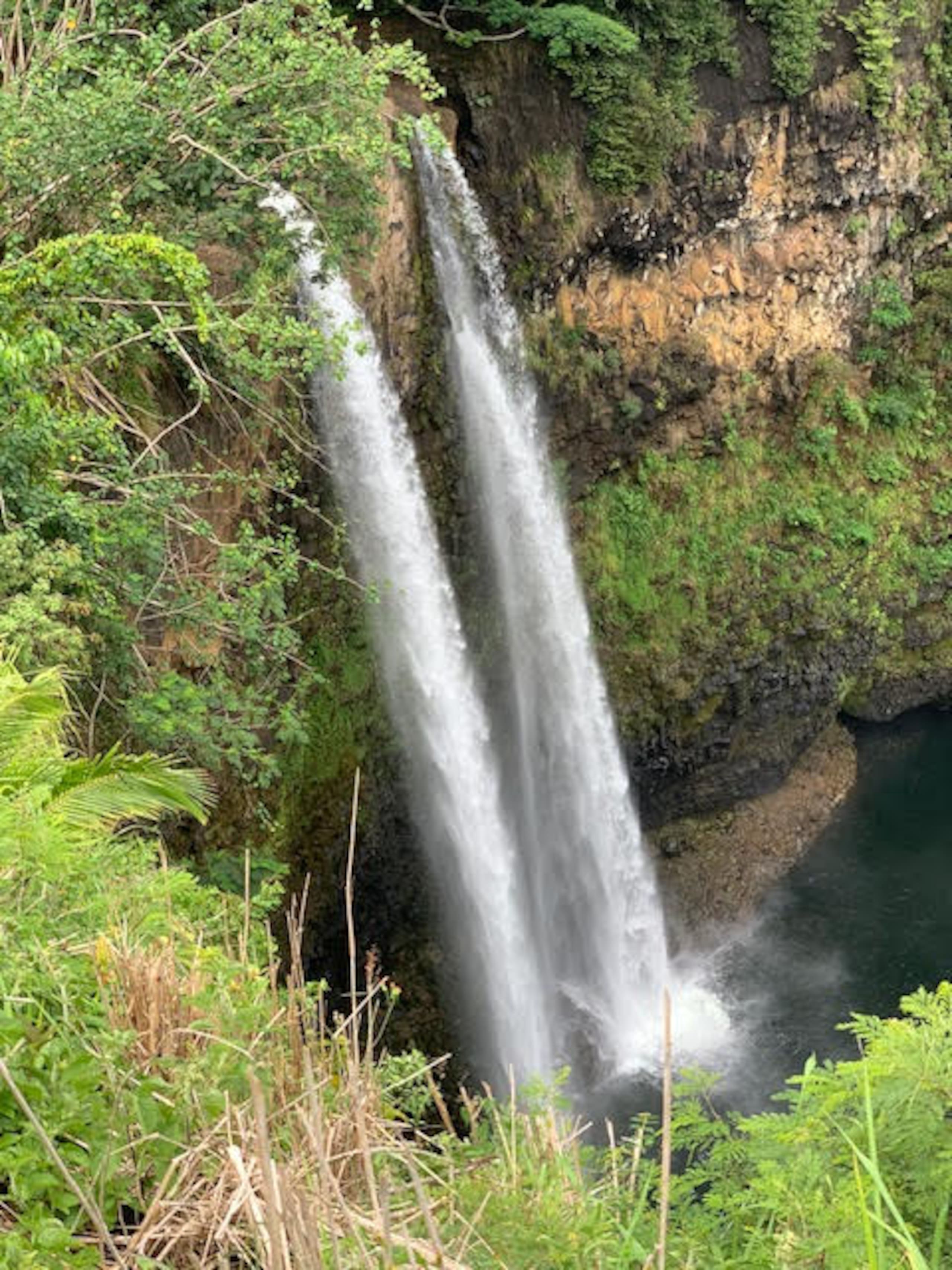 Condo in Princeville · ★4.67 · Studio · 2 beds · 1 private bath - Image 55