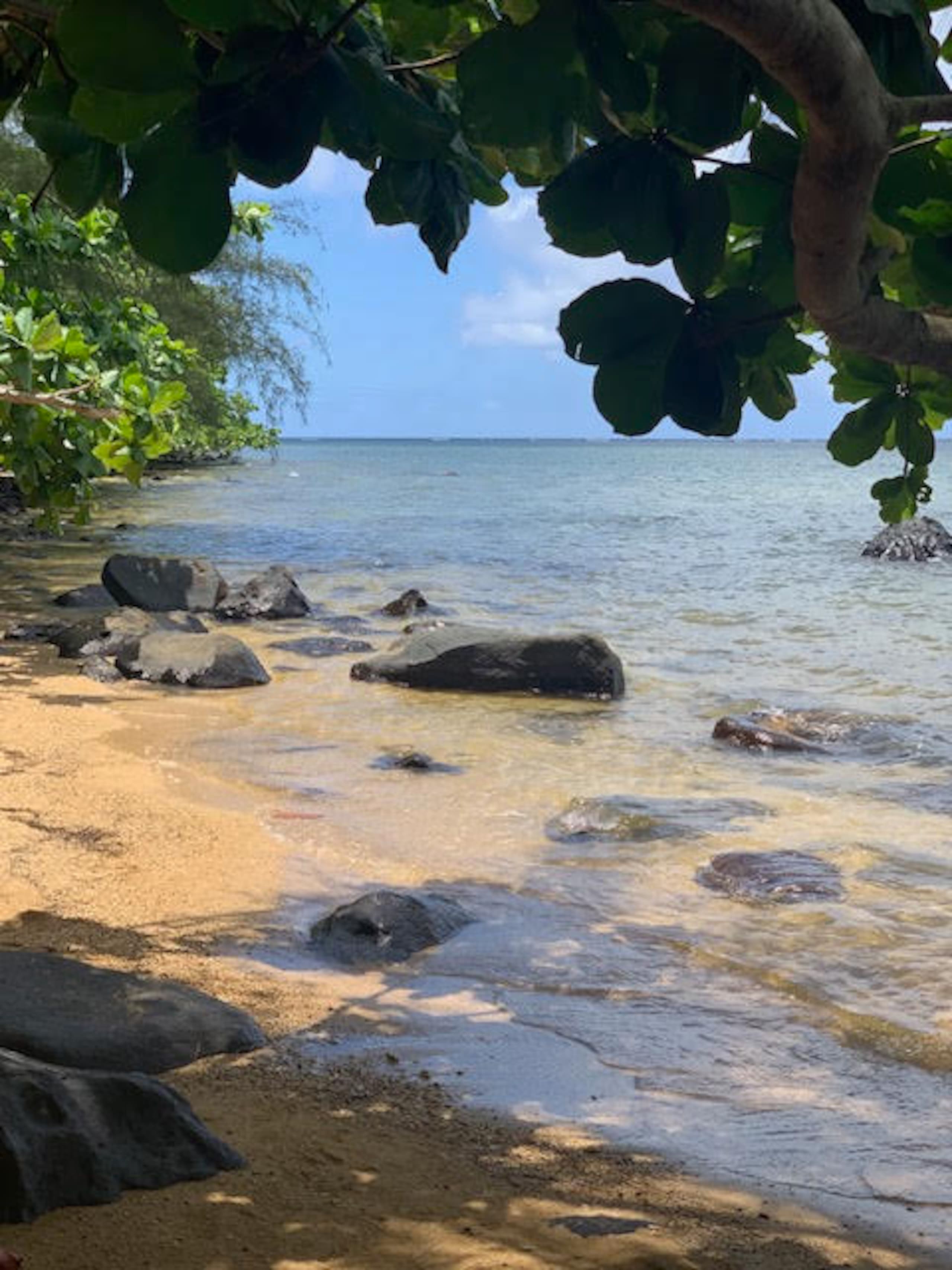 Condo in Princeville · ★4.67 · Studio · 2 beds · 1 private bath - Image 34