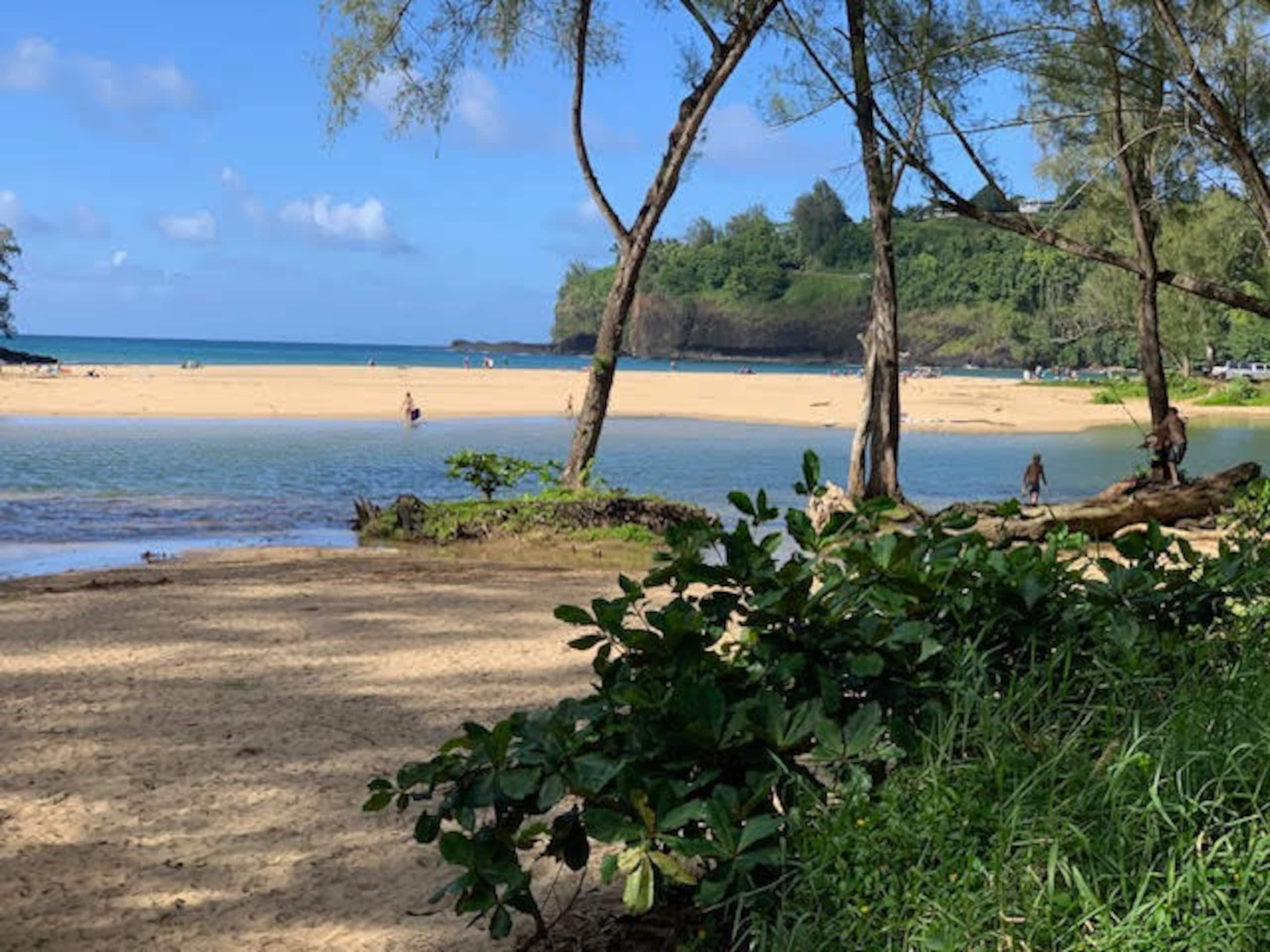 Condo in Princeville · ★4.67 · Studio · 2 beds · 1 private bath - Image 43