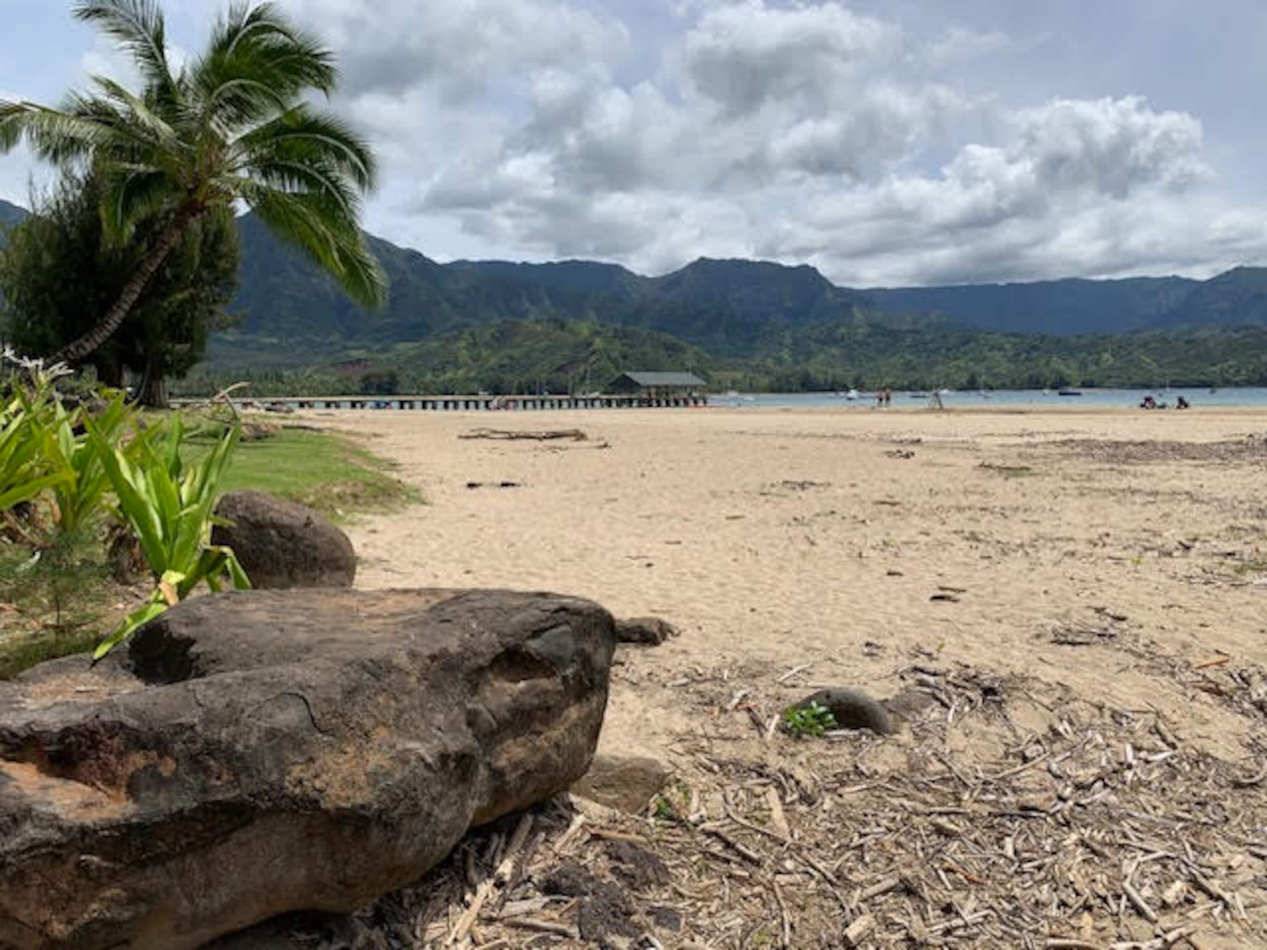 Condo in Princeville · ★4.67 · Studio · 2 beds · 1 private bath - Image 41
