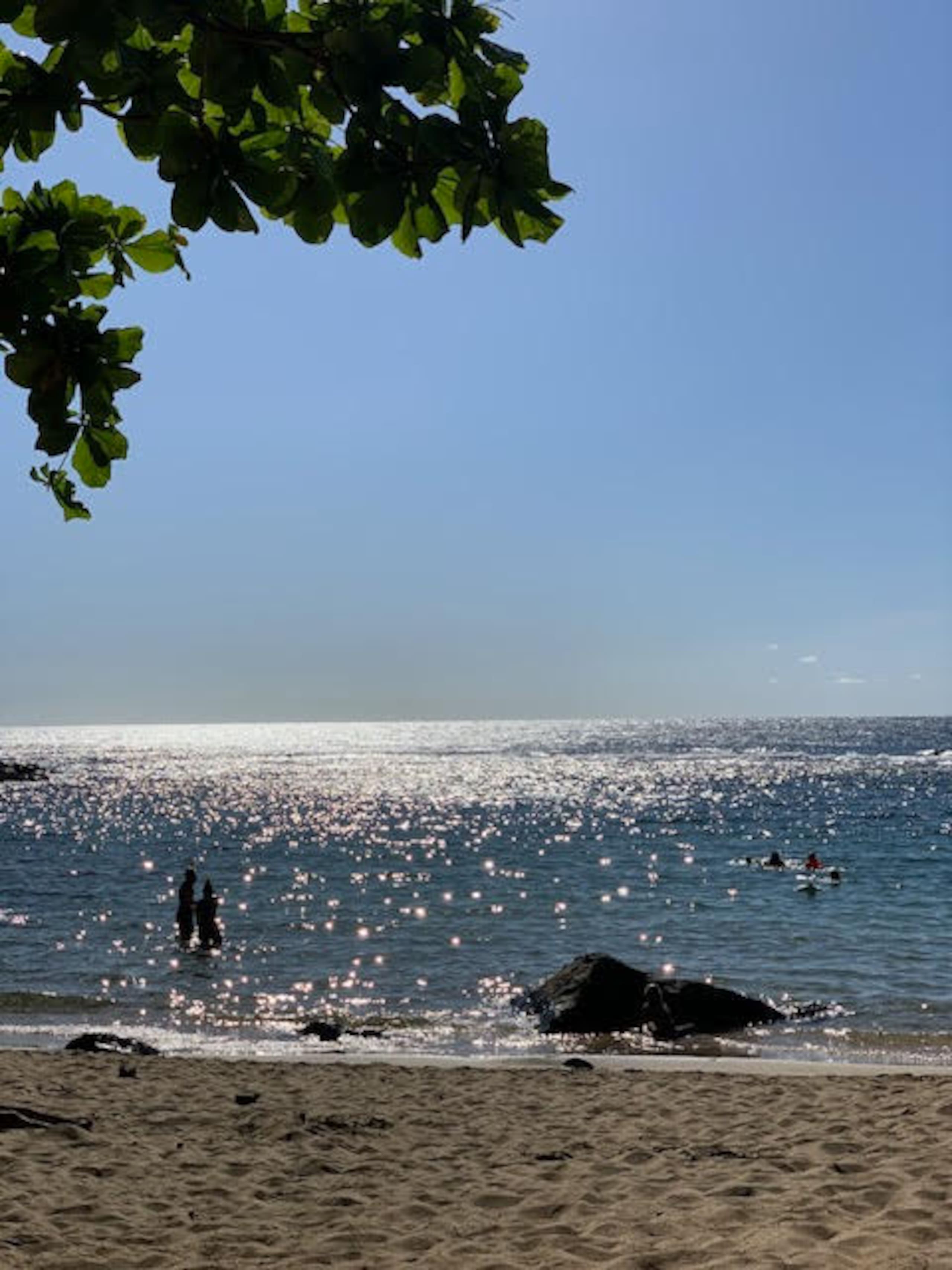 Condo in Princeville · ★4.67 · Studio · 2 beds · 1 private bath - Image 49
