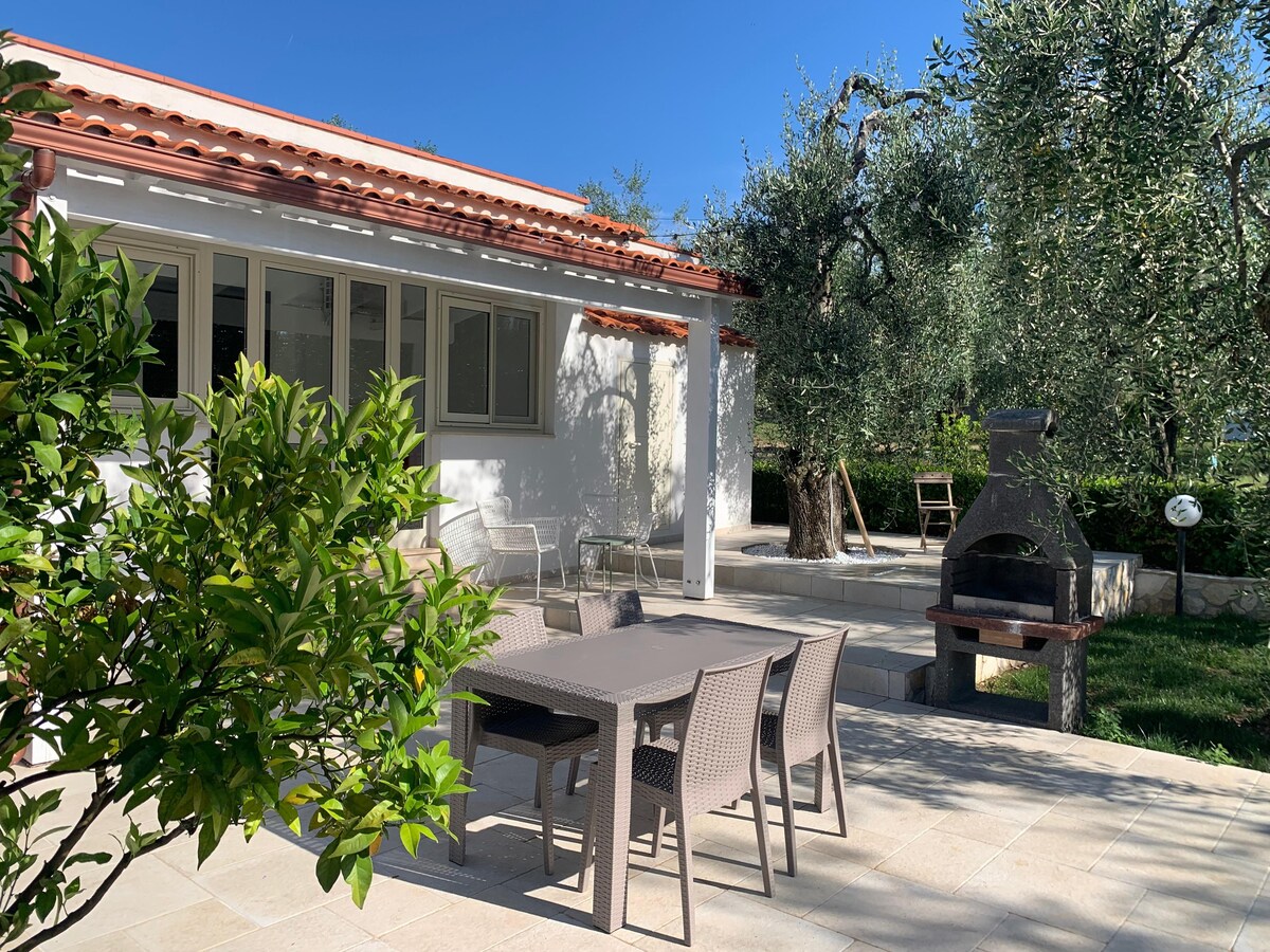 An outdoor area features a dining table with six chairs, set on a stone patio surrounded by olive trees. A barbecue station is positioned nearby, and additional seating is available under the trees. Soft sunlight brightens the space, creating a relaxed atmosphere.