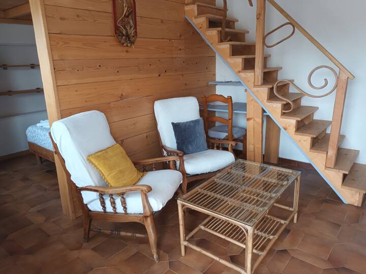 Maison, Grande Piscine, Jardin, Clim, Fibre - Lamalou-les-Bains