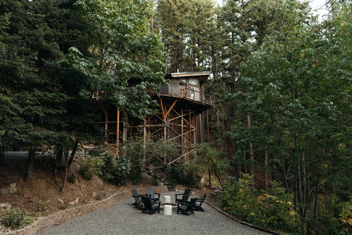A mid-century modern treehouse cabin is nestled among tall trees, elevated on sturdy stilts. A gravel area is visible below, surrounded by greenery, featuring a fire pit with seating arranged in a circular layout. The cabin's deck is partially visible, providing a sense of the elevated living space.
