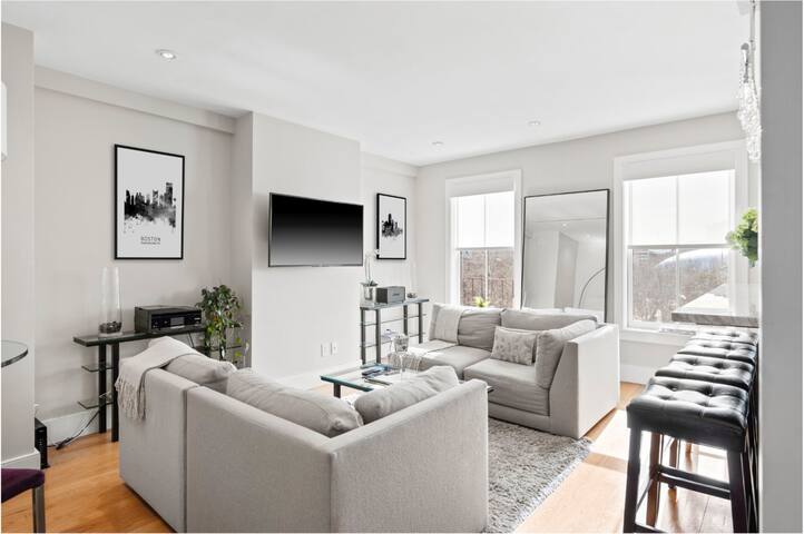 Stunning SouthEnd/BackBay Penthouse gallery image 2