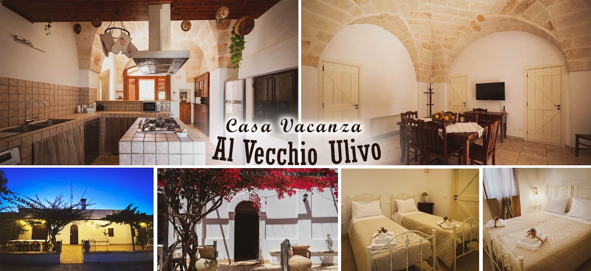 An airy kitchen with high, arched ceilings is equipped with modern appliances and a spacious island. The dining area features a wooden table surrounded by chairs, complemented by natural light filtering through the nearby windows.