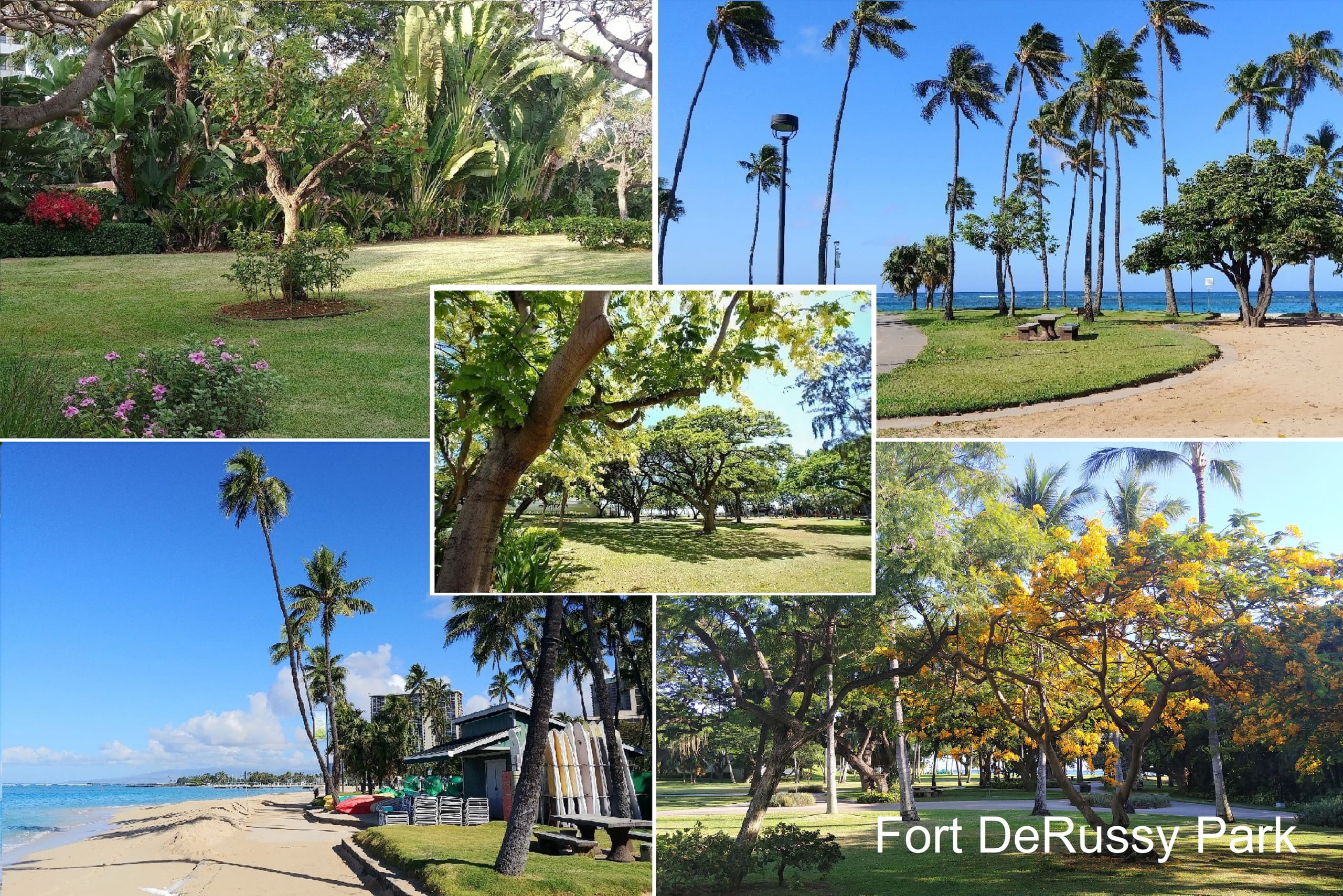 Condo in Honolulu · ★5.0 · Studio · 1 bed · 1 private bath - Image 31