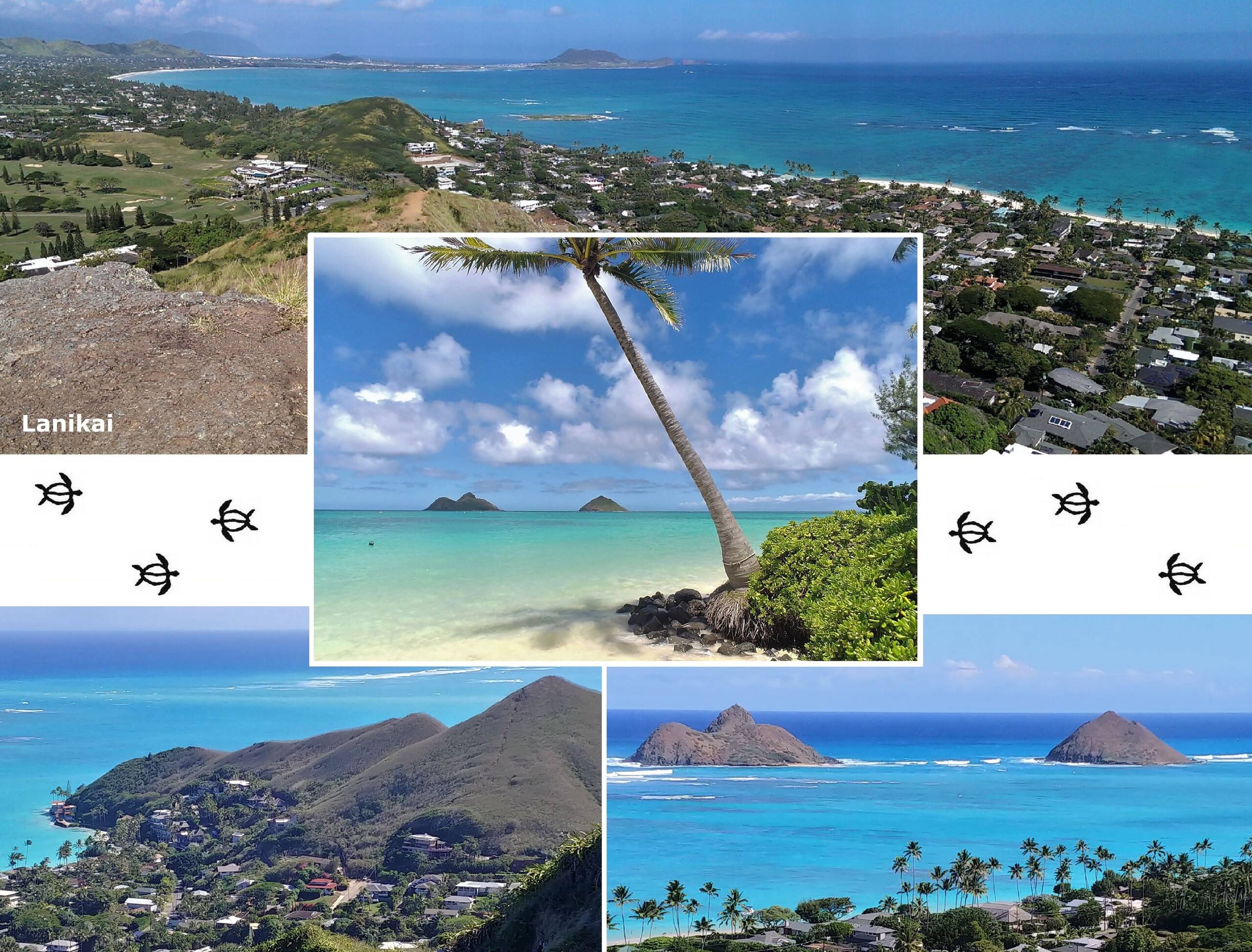 Condo in Honolulu · ★5.0 · Studio · 1 bed · 1 private bath - Image 44