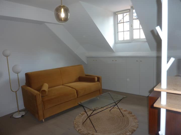 Appartement Cosy En Plein Cœur D'annecy, 200 M Lac - Annecy