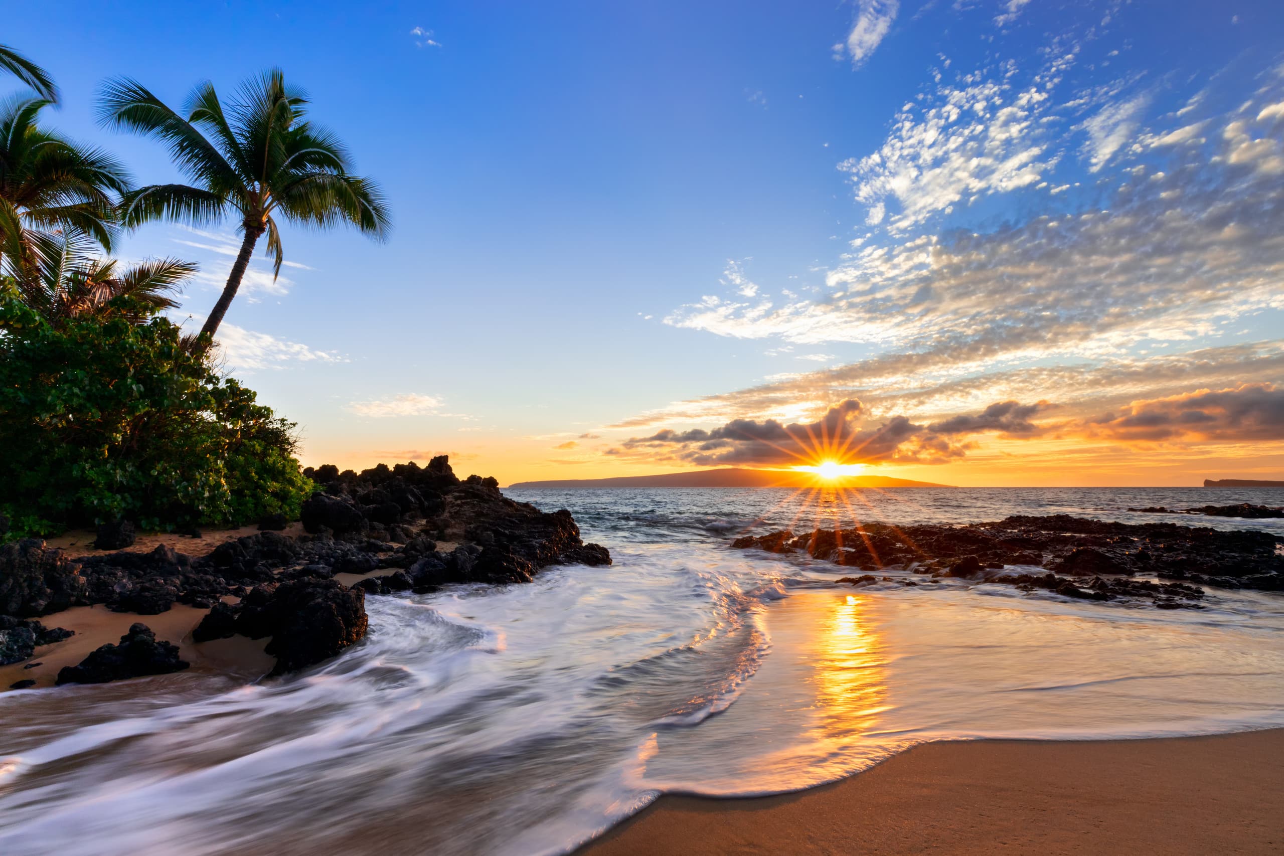Condo in Kihei · ★4.93 · 2 bedrooms · 3 beds · 1 bath - Image 45