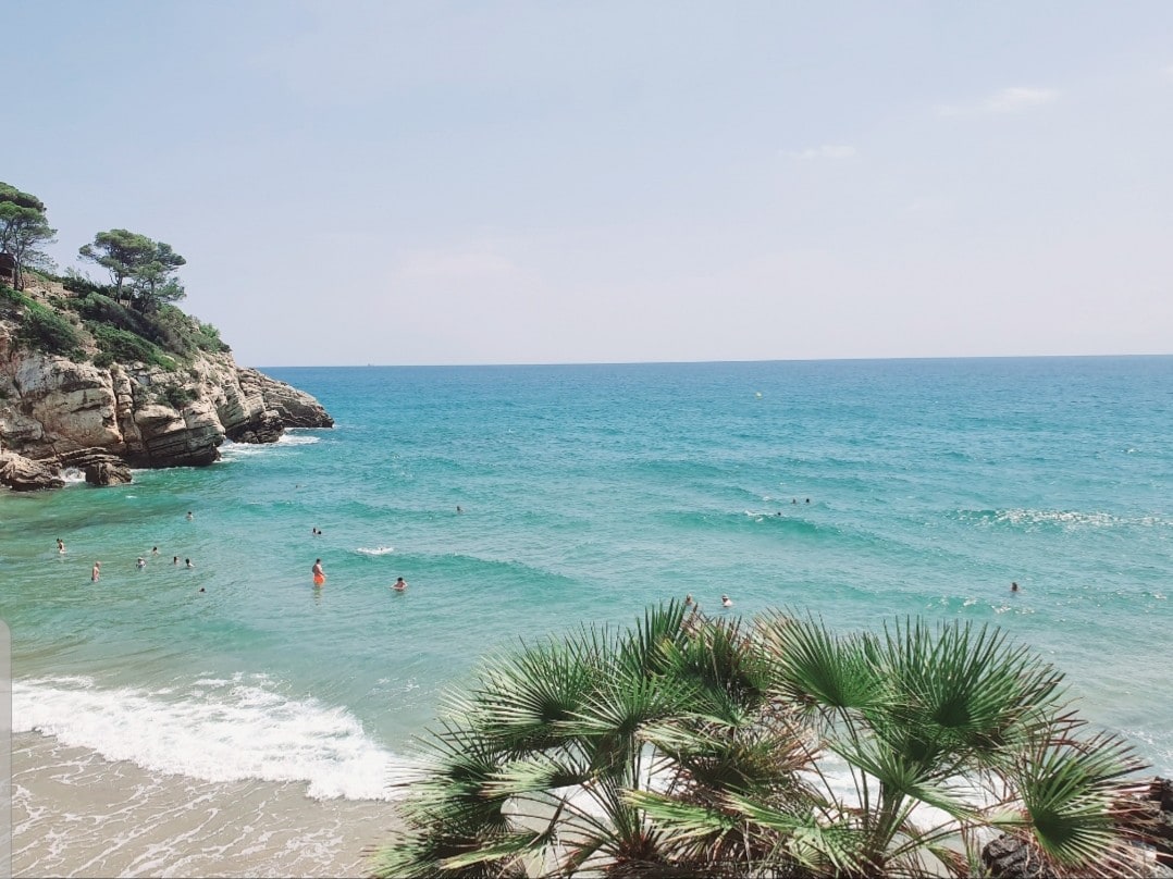 A serene beach scene features gentle waves lapping at the shore, with people swimming in the clear water. Lush greenery lines the rocky coastline, providing natural shade against a bright sky. The vibrant blue sea stretches toward the horizon, creating a tranquil atmosphere.